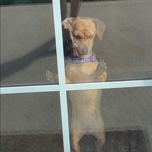 Meet your Posher, Bryn